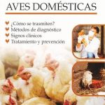 Practica Y Aprende A Sumar Y R