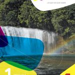 Prioriza Primaria Primer Grado