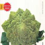 Fractal 3 Matematicas Tercer G