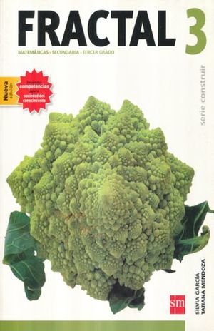 Fractal 3 Matematicas Tercer G