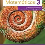 Matematicas Ingenium 3 Primari